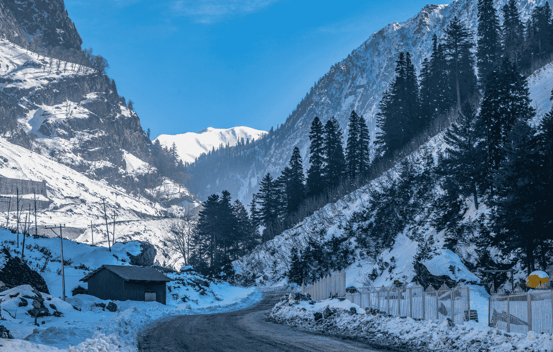 Kashmir